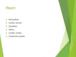 Heart Pericardium Cardiac muscle