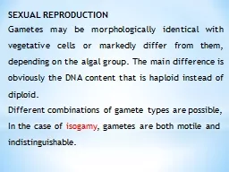 SEXUAL REPRODUCTION Gametes may be morphologically identical with vegetative cells or