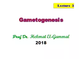 Gametogenesis Prof Dr.