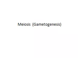 Meiosis (Gametogenesis) KEY CONCEPT