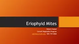 Eriophyid Mites Robert Hadad