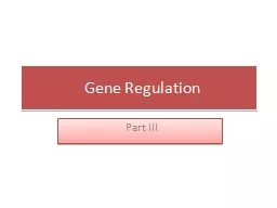 Gene Regulation Part III