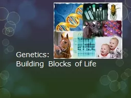 Genetics: Building Blocks of Life
