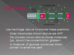 Bell Ringer Use the image above to answer these questions.