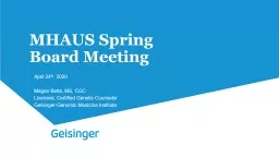 MHAUS Spring Board Meeting