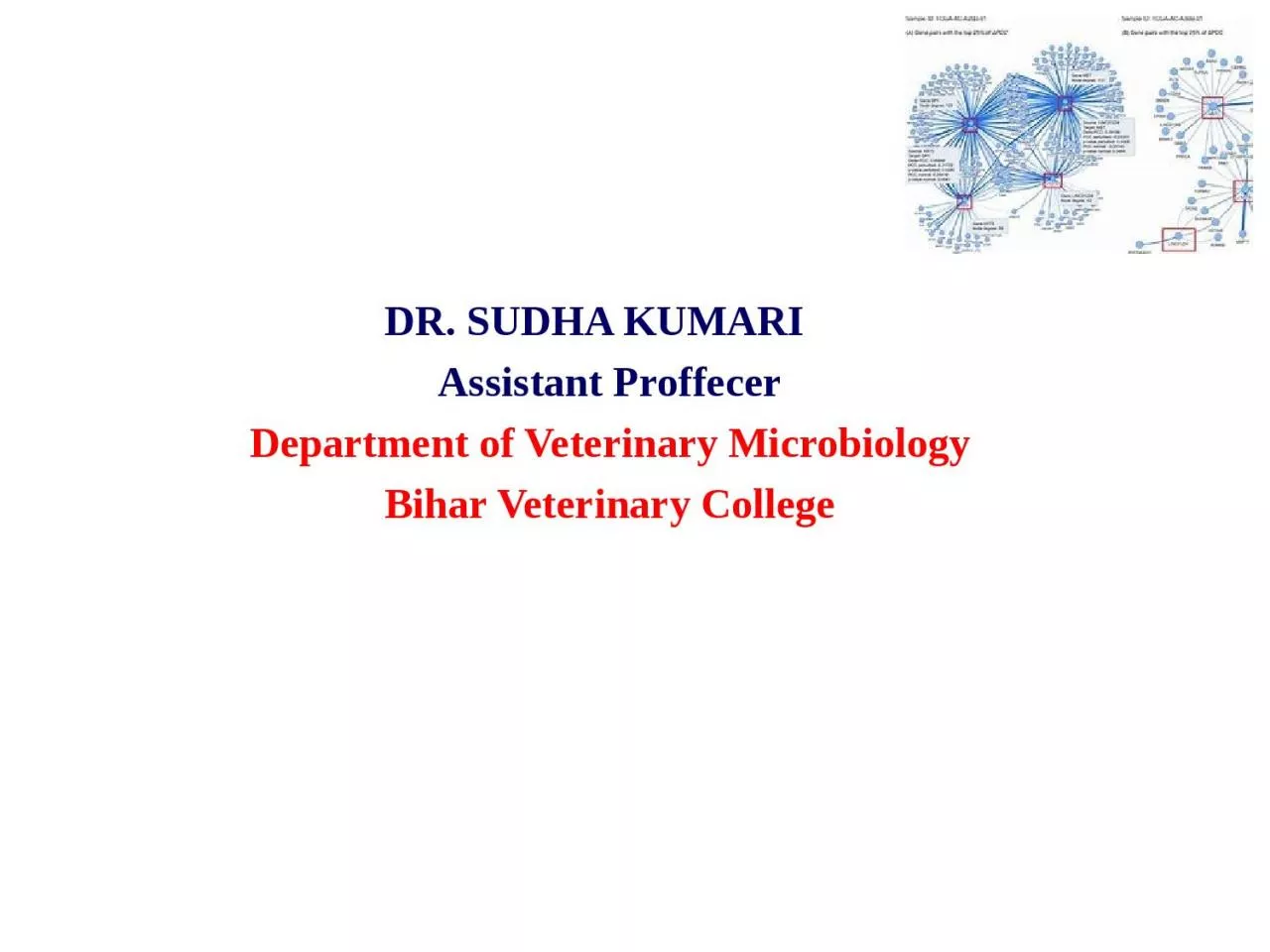 DR. SUDHA KUMARI    Assistant Proffecer