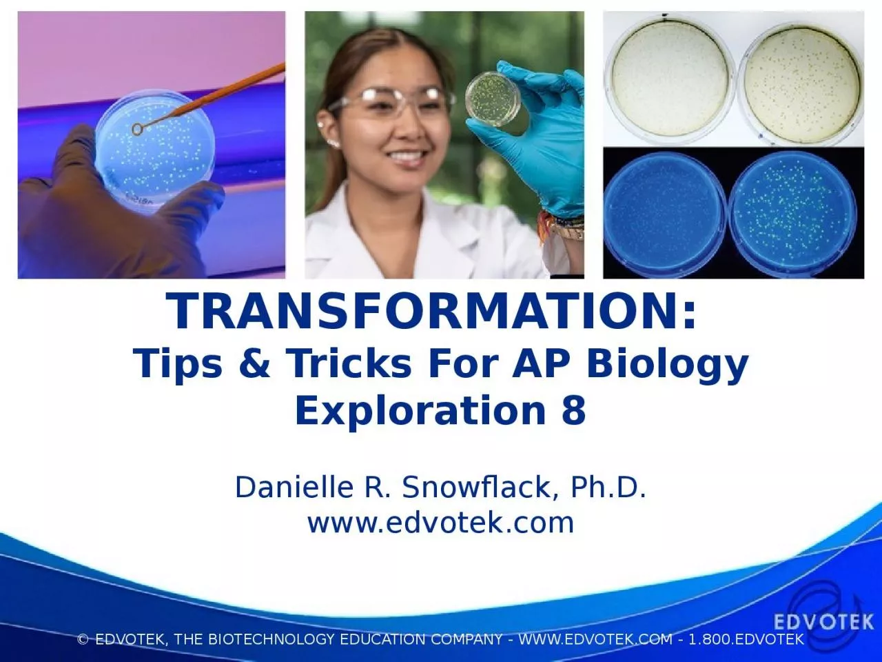 TRANSFORMATION:  Tips & Tricks For AP Biology Exploration 8