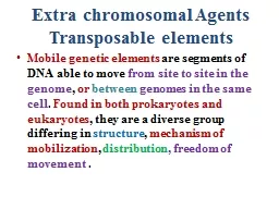 Extra chromosomal Agents