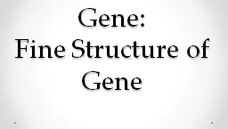 Gene:  Fine Structure of Gene
