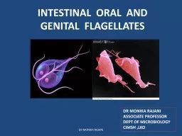 DR MONIKA RAJANI INTESTINAL  ORAL  AND GENITAL  FLAGELLATES