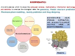Bioinformatics: A Hybrid science which involves the
