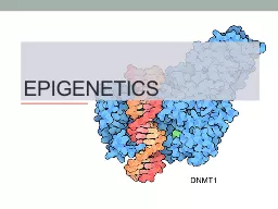 Epigenetics  Epigenetics - possible definition(s)