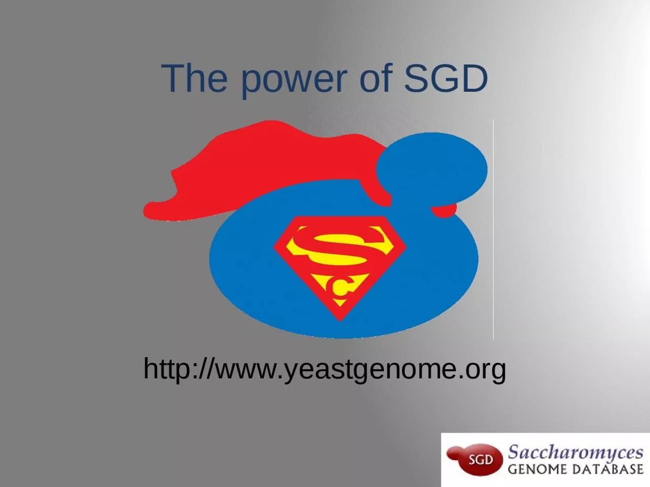 PPT-The power of SGD http://www.yeastgenome.org