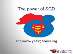 The power of SGD http://www.yeastgenome.org