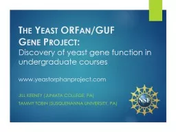 The Yeast  ORFan /GUF Gene