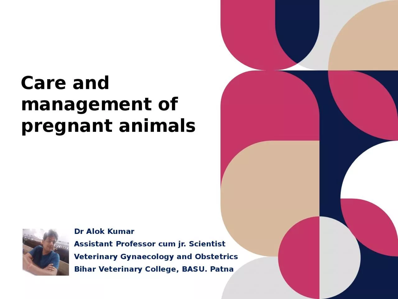 Care and management of pregnant animals