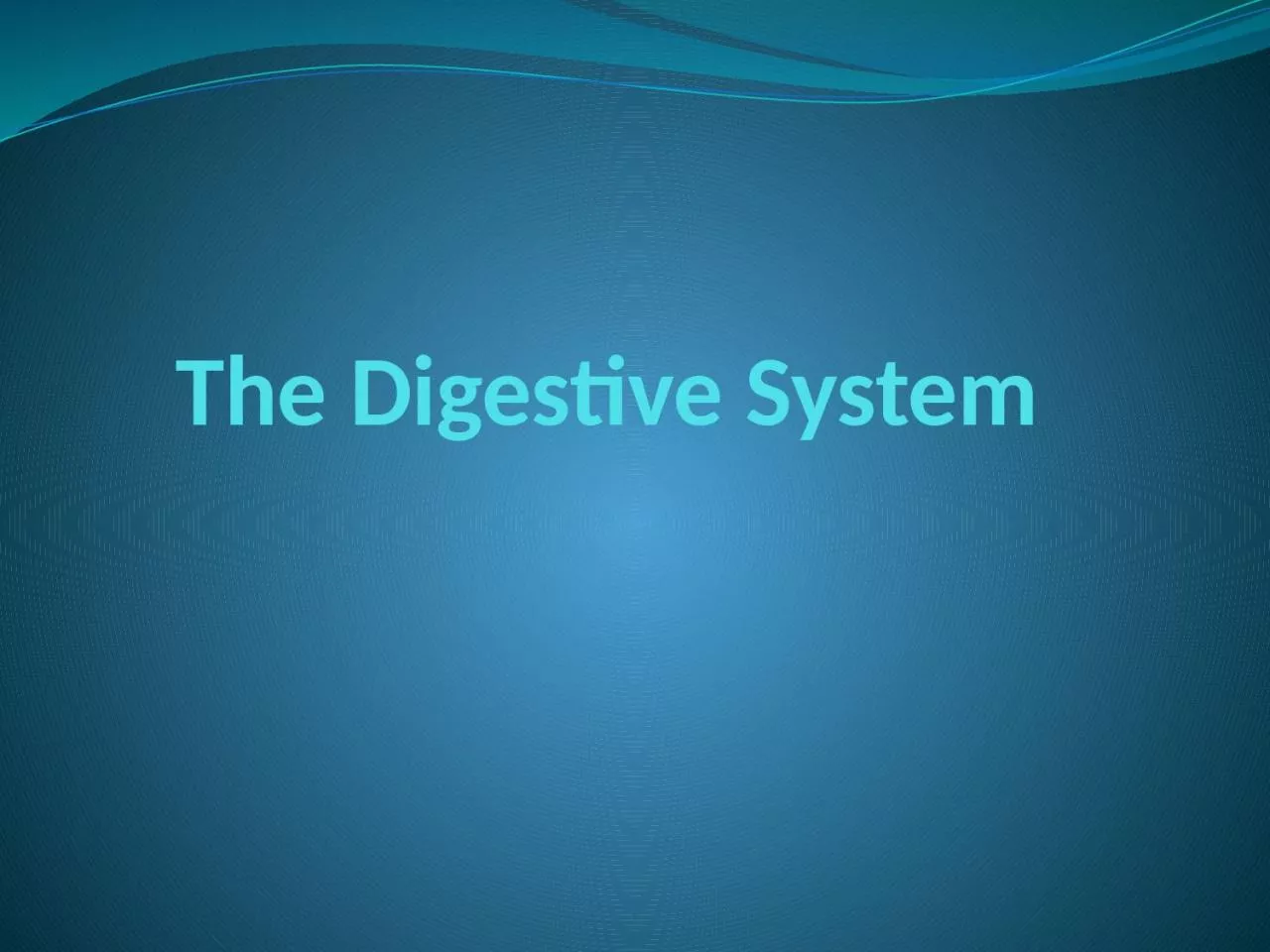 The Digestive System  The alimentary tract provides the body with a