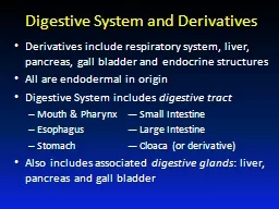 Digestive System and Derivatives