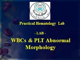 WBCs & PLT Abnormal Morphology