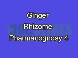 Ginger Rhizome Pharmacognosy 4