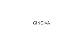 GINGIVA