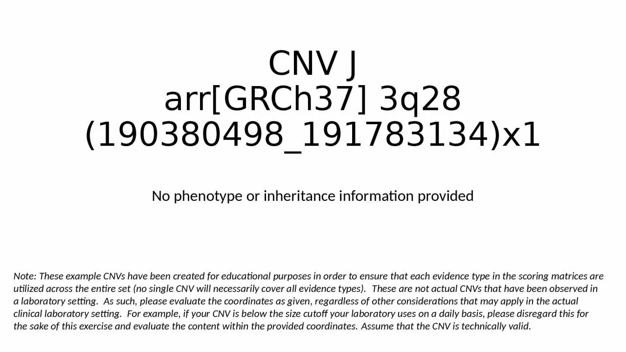 PPT-CNV J arr [GRCh37] 3q28 (190380498_191783134)x1