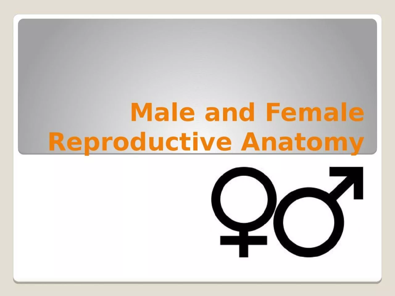 PPT-Male and Female Reproductive