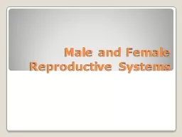 Male and Female Reproductive