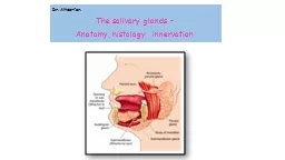 Dr. Altdorfer: The  salivary