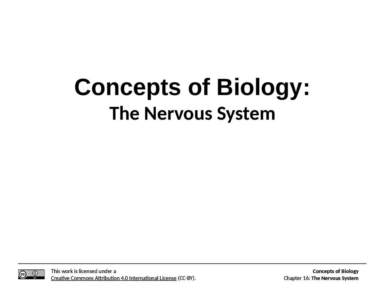Concepts of Biology: The Nervous