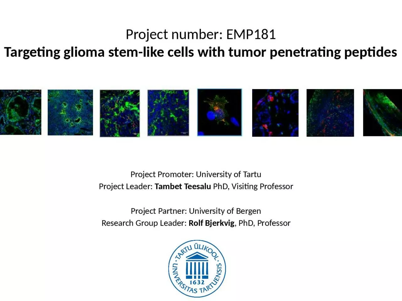 Project number: EMP181 Targeting glioma stem-like cells with tumor penetrating peptides