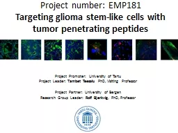 Project number: EMP181 Targeting glioma stem-like cells with tumor penetrating peptides