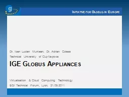 IGE Globus Appliances Dr. Ioan Lucian Muntean, Dr. Adrian Colesa