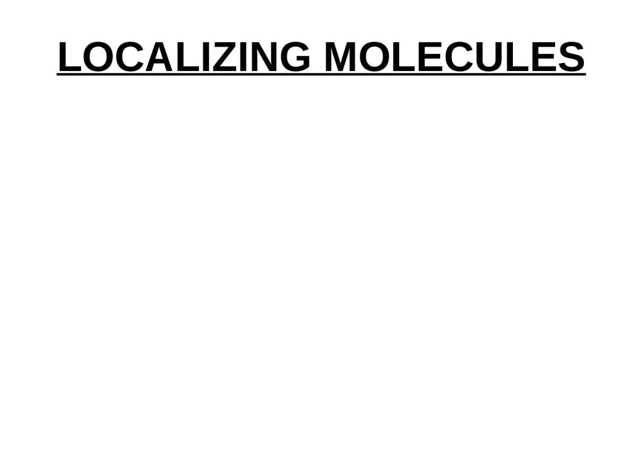 PPT-LOCALIZING MOLECULES LOCALIZING MOLECULES