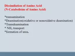 Dissimilation  of Amino Acid