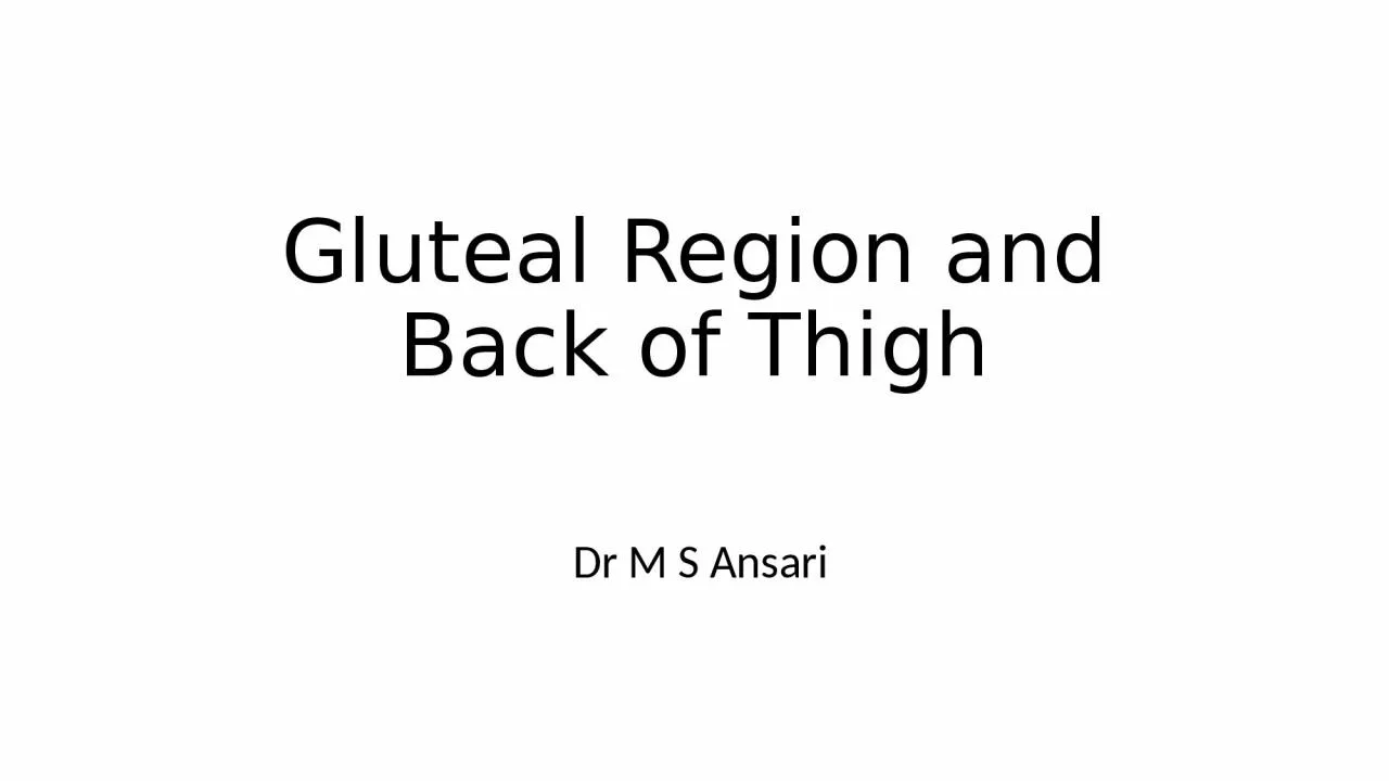 Gluteal Region and Back of Thigh