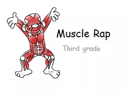 Muscle Rap Third grade There are muscles in my body