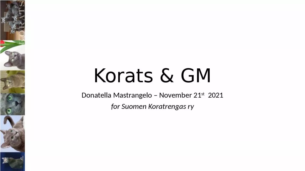 PPT-Korats & GM Donatella Mastrangelo – November 21