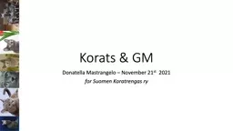 Korats & GM Donatella Mastrangelo – November 21