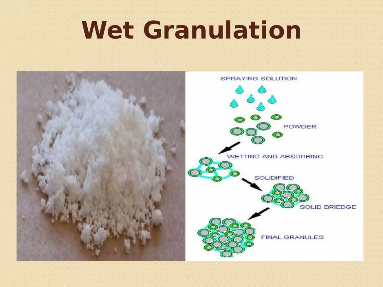 Wet Granulation Wet Granulation
