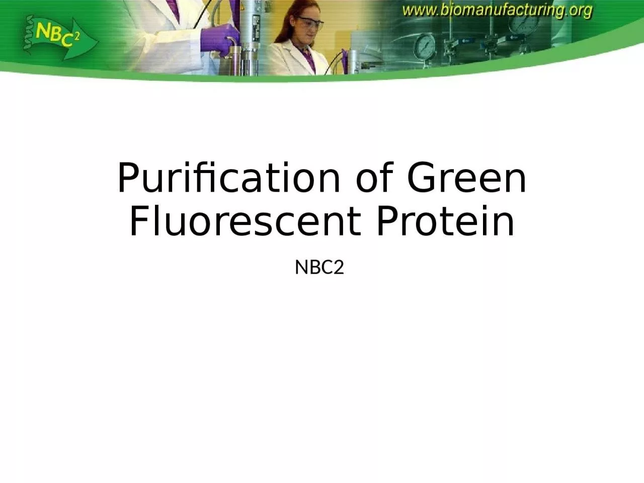 PPT-Purification of Green Fluorescent Protein