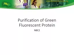 Purification of Green Fluorescent Protein