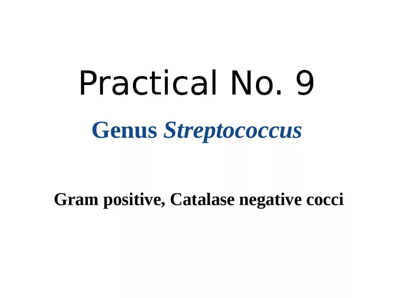 Genus  Streptococcus Gram positive, Catalase negative