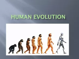 Human Evolution Classification Hierarchy