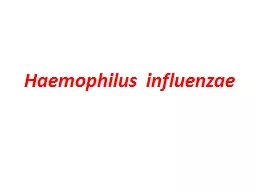 Haemophilus   influenzae