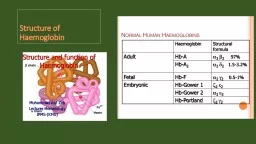 Structure of  Haemoglobin