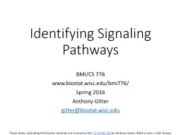 Identifying  Signaling Pathways