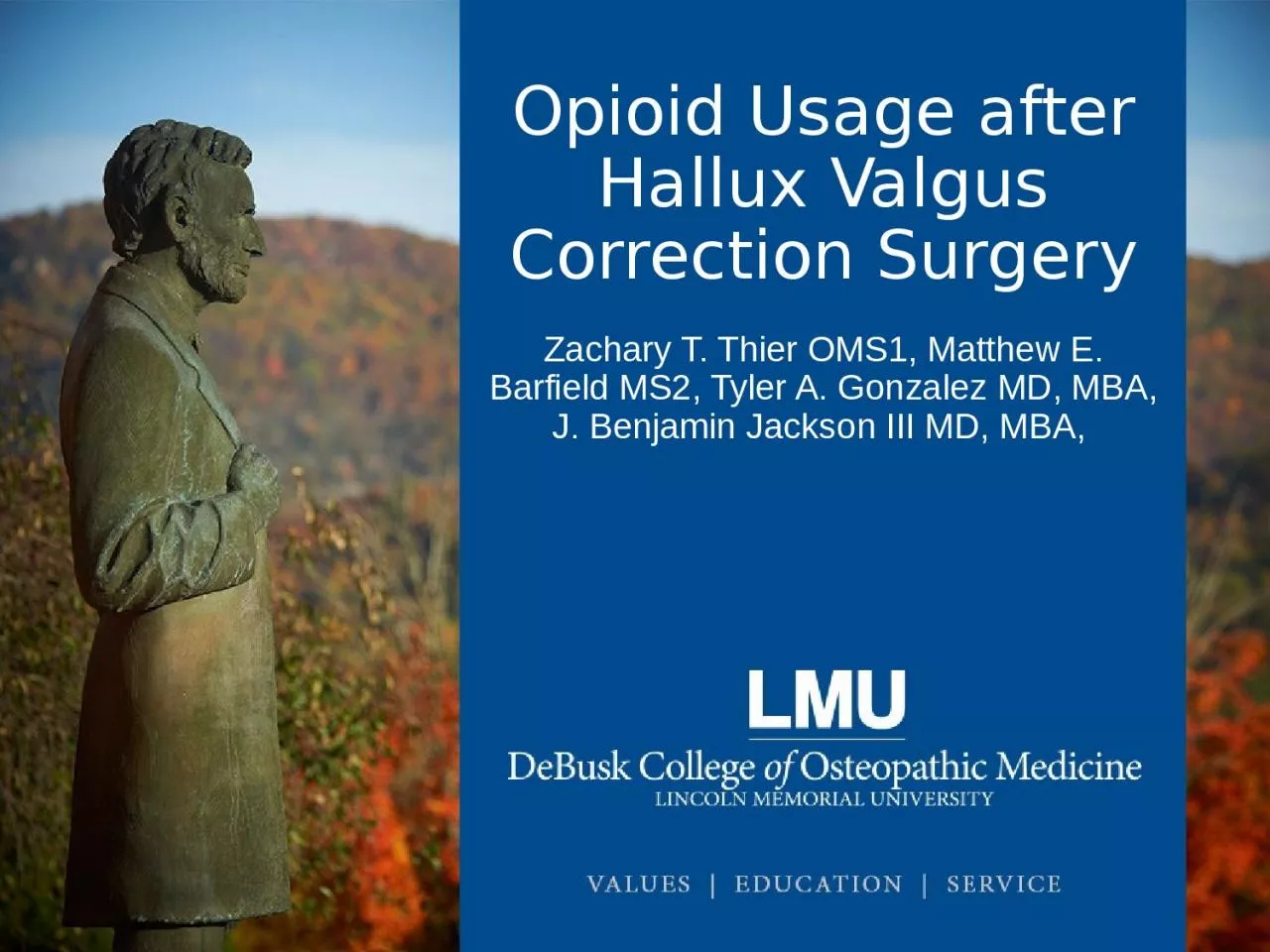 PPT-Opioid Usage after Hallux Valgus Correction Surgery