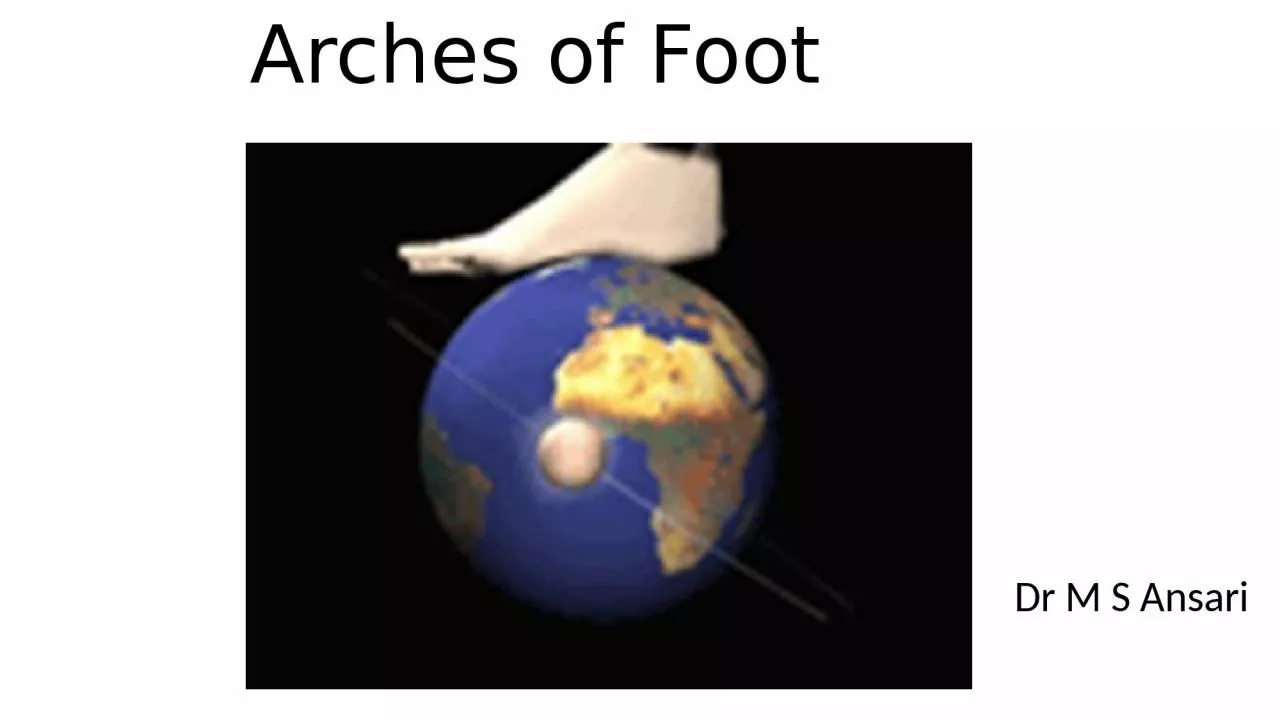 Arches of  Foot Dr M S Ansari