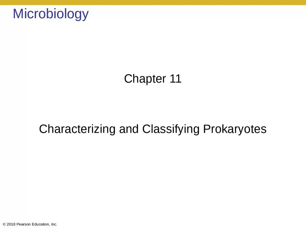 PPT-Microbiology Chapter 11 Characterizing and Classifying Prokaryotes